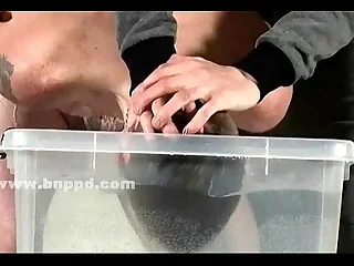 Young cute merry boy held in ropes